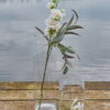 231505-1 Miljøbillede cylinder vase 15x60 cm