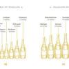 Miljøbillede 2-the little book of champagne