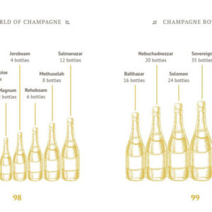 Miljøbillede 2-the little book of champagne