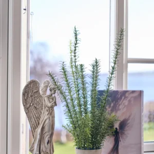 Miljøbillede Angle bogæske 245329