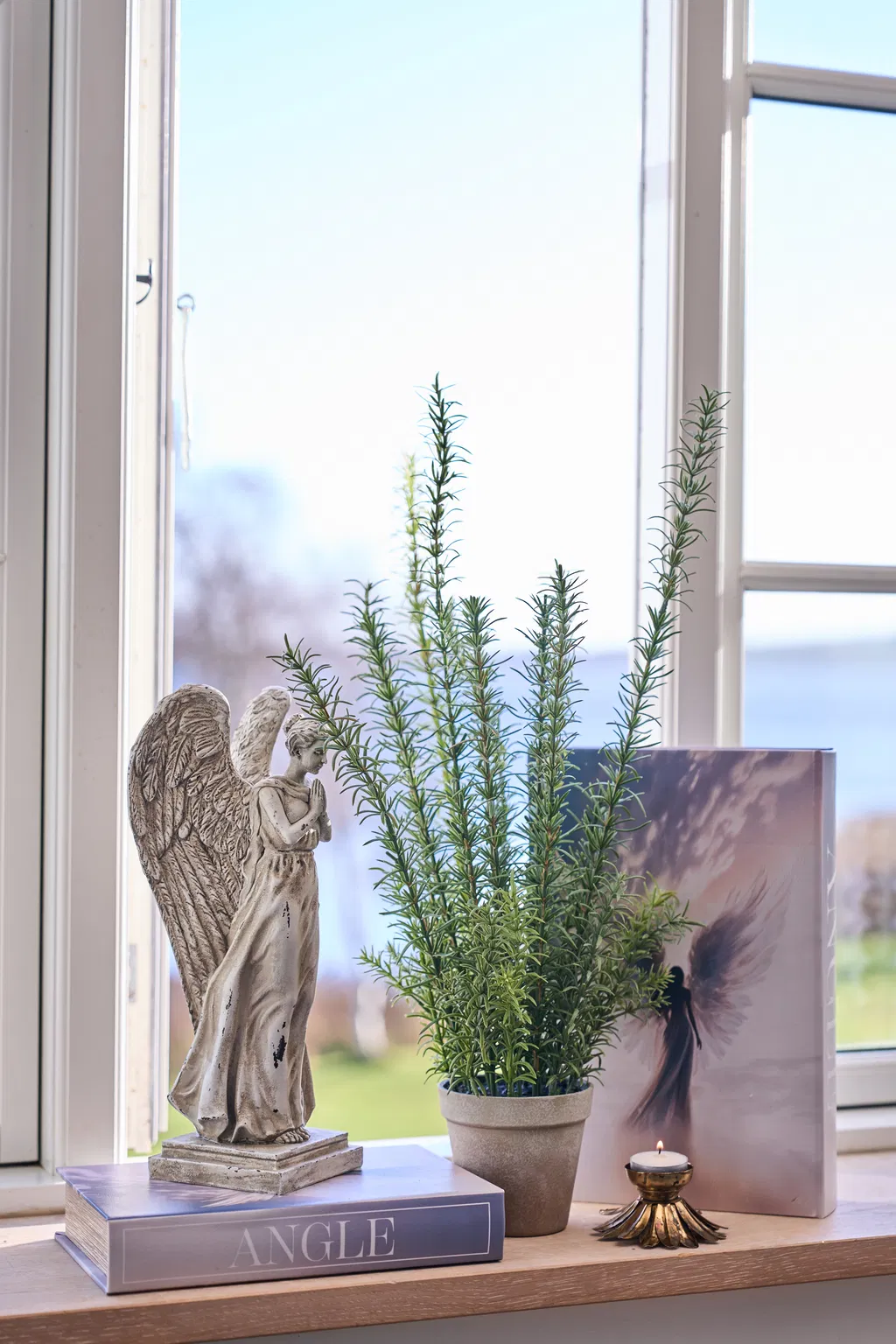 Miljøbillede Angle bogæske 245329