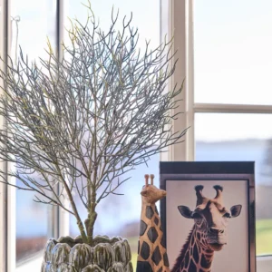 Miljøbillede Giraf æske 245313