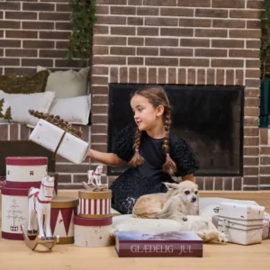 Miljøbillede af opbevaringsæsker med julemanden, hans rensdyr og kane 245307