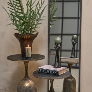 Miljøbillede bregne