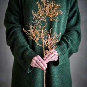 Miljøbillede coral stilk