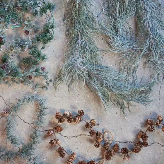 Miljøbillede jano kogle ranke