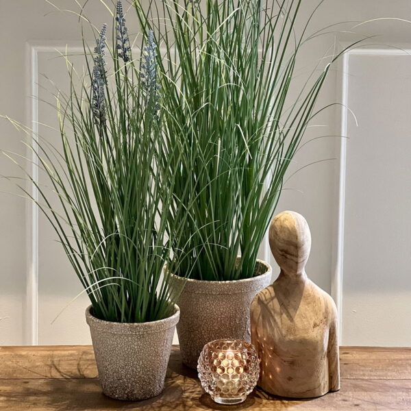 Miljøbillede lavendel H74 cm.