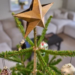 Miljøbillede topstjerne 25x3 cm. 243171