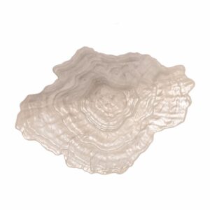 Shopbillede 2 Aiku skål