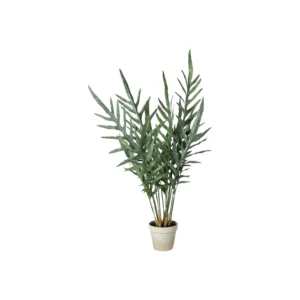 Shopbillede Bregne H81 cm.