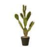 Shopbillede kaktus 60 cm